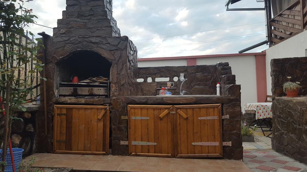 شقة Casa Leo Haţeg المظهر الخارجي الصورة