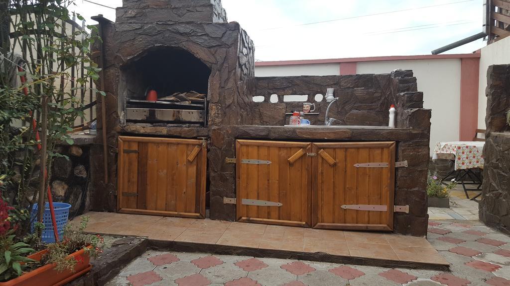 شقة Casa Leo Haţeg المظهر الخارجي الصورة